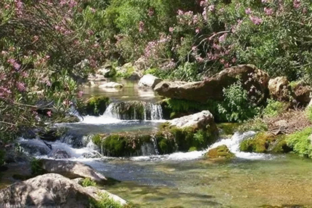 Parc National Talassemtane à 60 min de Chefchaouen